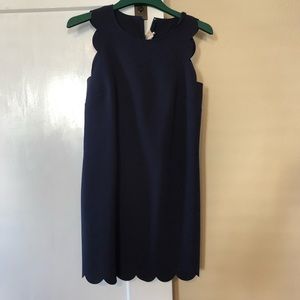 Scalloped J. Crew Dress